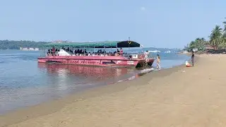dolphin Show🐬#cruise #goa #goatrip #miramarbeach #beach#shorts #goabeach #dolphin