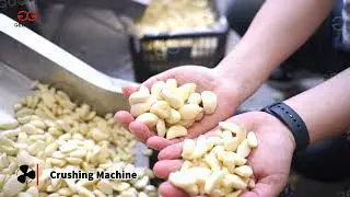 High Speed Garlic Paste Making Line from peeling to paste