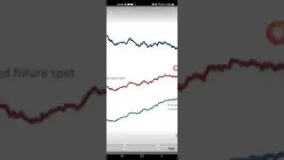 Expected future spot in options trading