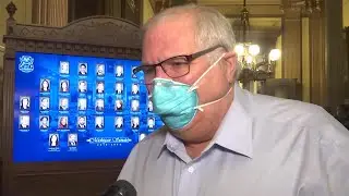 Michigan senator explains wearing questionable mask believed to be Confederate flag