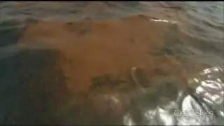 Oceanographers Chart Oil Spill, Aftermath