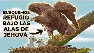 Busquemos refugio bajo las alas de Jehov&aacute;