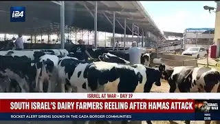 South Israel's dairy farmers reeling after Hamas attack, pleading for government help