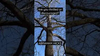 You have got to be thrilled and excited! #shorts #lawofattraction #abrahamhicks #alignment