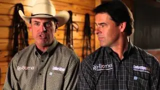 What's Wrong With My Horse - Stifle