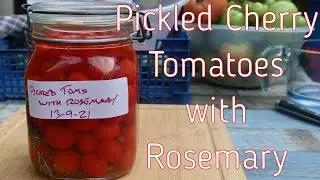 Pickled Cherry Tomatoes with Rosemary SO EASY!