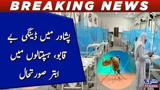 Peshawar main Dengue be kabu, hospitals main abtar suraat hal