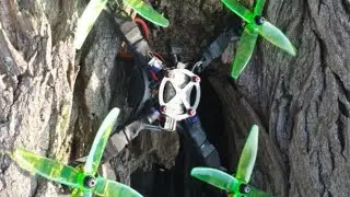3D COPTER - IMPULSE RC - WARPQUAD