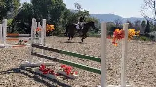 Bernie Traurig Clinic Day 1