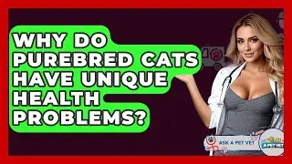 Why Do Purebred Cats Have Unique Health Problems? - Ask A Pet Vet