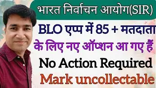 SIR | ECI | VERIFICATION OF 85 + VOTER | BLO APP | No Action Required | ONLINE PANCHAYAT | ASD |