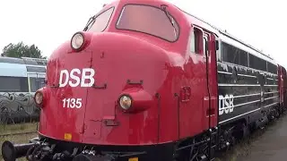 MY 1135 - veterantog
