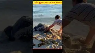 এই Fact Video টা দেখলে অবাক হবেন 😲 | Amazing Bangla Facts Short#facts #shorts