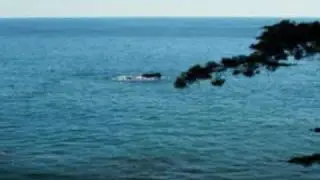 Northern California Bed and Breakfast - Whale Watch Inn
