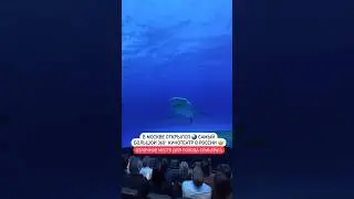 В Москве открылся новый иммерсивный кинотеатр😍 Адрес оставили по ссылке в шапке профиля