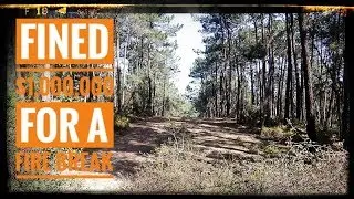 The $1,000,000 Fire Break and Labors Tree Clearing Laws
