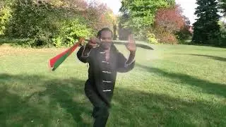 Sil Lum Hung Gar Kung Fu Single broadsword form With Motion Effect & Dn Dyan! Music.