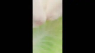 how a bunny  🐇 eats its cabbage leaves 🍃@vulearningtree_Sivamadhu #viralshorts #satisfyingshorts