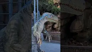 Raptor Encounter | Universal Studios Hollywood