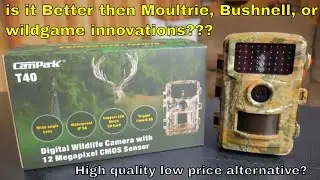 Campark T40 12mp low glow Trail Camera review
