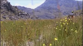 Introductory video for Chimanimani Biosphere Reserve
