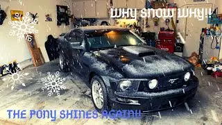 2005 Ford Mustang GT Copart Rebuild Part 19 | Removing Paint Orange Peel