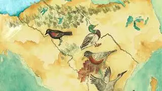 The Fragile Flyway  Conserving the Rio Grande Corridor