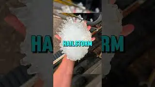 #reelschallenge
