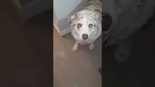 Pre- 1st  Bath of '26  Chase
