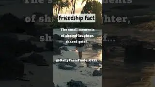 The small moments of shared laughter, shared grief... #DailyFactsFinder #shorts #FriendshipFact