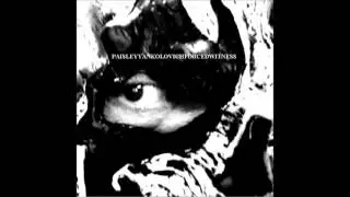 Paisley Yankolovich - Forced Witness (The Complete Performance) (Audio Only)