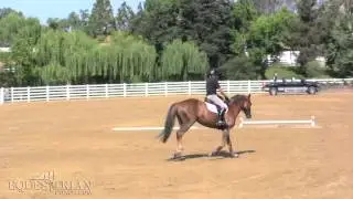 Equestrian Coach: Winning Turns with Bernie Traurig