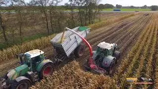 Maisoogst door Loonbedrijf Epema Rijperkerk