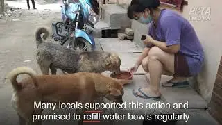 Help Community Animals Beat the Heat!