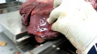 Meat Bandsaws - Beef Liver Demo www.mpbs.com 323-268-8514