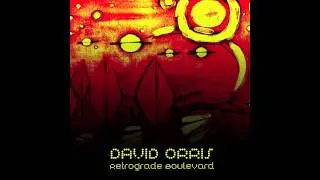 I Don't Know - David Orris
