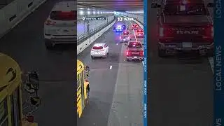 Police rescue dog from tunnel