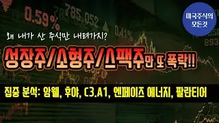 오늘의 주식 분석: 팔란티어 (PLTR), C3.AI, 암웰 (AMWL), 후야 (HUYA), 엔페이즈에너지(ENPH)