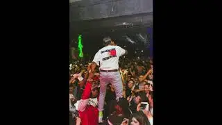 Dfideliz - Festa de Bandido (Prod. Nagalli)