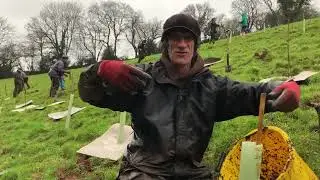 Mulch mats and tree establishment with Dave Wood