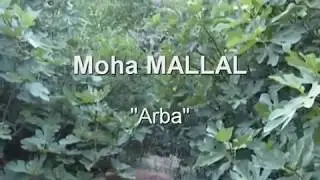 Moha MALLAL  
