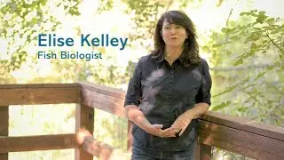 Find Your Path: Fish Biologist