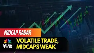 Nifty Near 25,000, Sensex Gains 550 Points; Adani Ports, Power Grid, L&t, Reliance Top Gainers