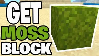 Как получить блок мха в Minecraft! - Java и Bedrock
