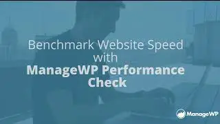 How to Check Your WordPress Website Performance with ManageWP