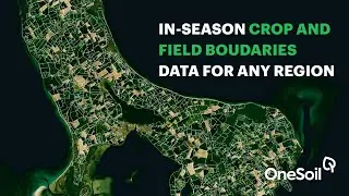 OneSoil Global Analytics - Get in-season crop data for any region