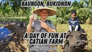 Farm Adventures: Rice Harvesting, Fresh Fruits, and Good Vibes at Catian Farm