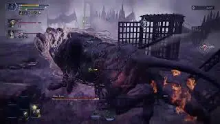 2026-01-18 Nightreign w/ Randoms