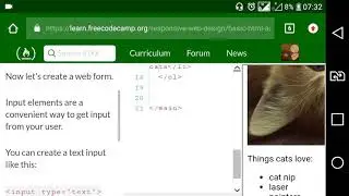 Basic HTML and HTML5 part17: Create a Text Field