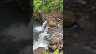 Mahadayi River ಮಹದಾಯಿ ನದಿ